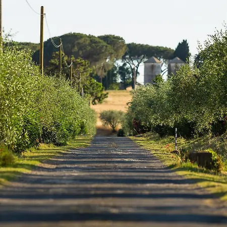 Riserva Dell'olmo * Anguillara Sabazia