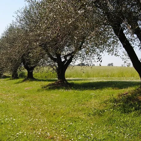 Riserva Dell'olmo * Anguillara Sabazia