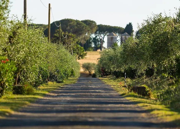 Riserva Dell'olmo * Anguillara Sabazia