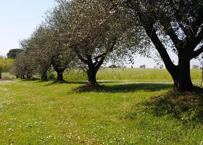 Riserva Dell'olmo * Anguillara Sabazia